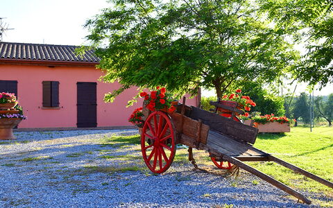 Appartamento Lavanda Seaside and Pool: Garten, Landscaping, Garten, Auffahrt, Blumentopf, Hazienda