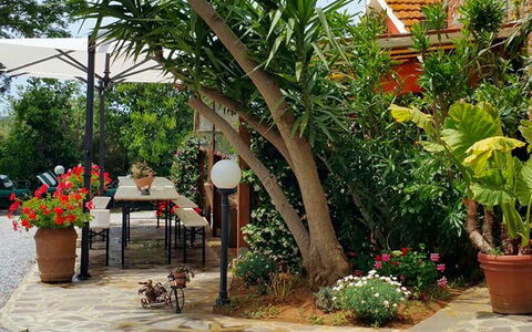 Appartamento Papavero Seaside and Pool: Grün, Blumentopf, Garten, Möbel, Schatten, Gartenmöbel, Hinterhof, Zimmerpflanze, Stuhl