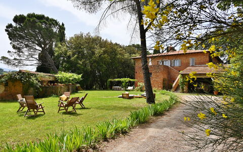 Casale Il Rondò, Private Pool, Città della Pieve: Strauch, Zuhause, Haus, Hütte, Garten, Estate, Hinterhof, Rasen, Bauernhaus