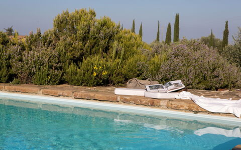 Podere Sangiovese, Pool and View in Chianti: Landscaping, Immergrün, Schwimmbad, Pine Familie