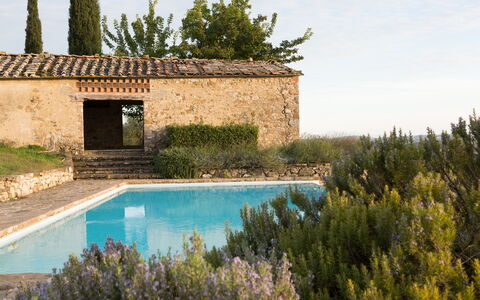 Podere Sangiovese, Pool and View in Chianti: Grundstueck, Bauernhaus, Hütte, Estate, Landscaping, Steinwand, Villa