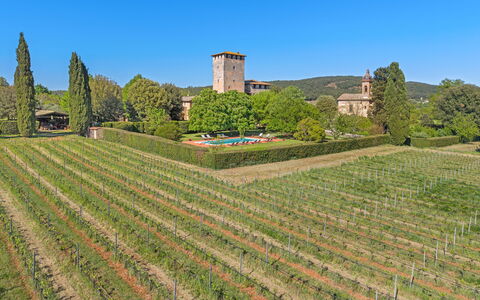 Medieval Castle Living: Vineyards, Swimming Pool &: Plantage, Landwirtschaft, Garten, Weinberg, Hecke, Bauernhof