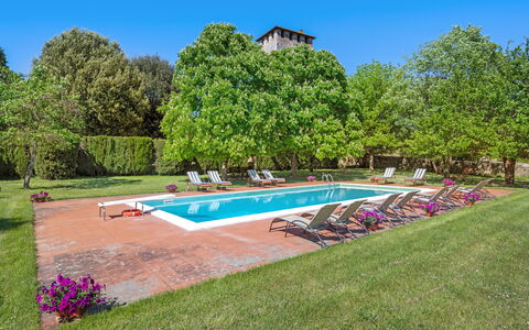 Medieval Castle Living: Vineyards, Swimming Pool &: Baum, Strauch, Garten, Rasen, Estate, Plantage, Schwimmbad, Park, Landscaping, Hazienda