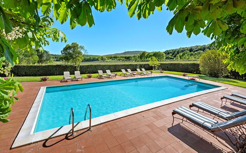 Medieval Castle Living: Vineyards, Swimming Pool &: Schwimmbad, Resort, Eco Hotel, Garten, Hazienda, Schatten, Villa, Bauernhaus, Water Feature, Landscaping