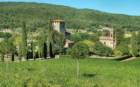 Medieval Castle Living: Vineyards, Swimming Pool &: Vegetation, Strauch, Grundstueck, Pflanzengemeinschaft, Ländliches Gebiet, Plantage, Bergstation, Garten, Dorf, Estate