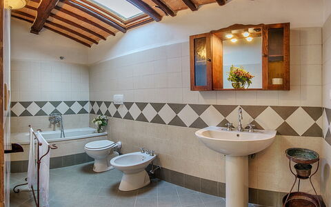 Medieval Castle Living: Vineyards, Swimming Pool &: Flooring, Interior Design, Fussboden, Decke, Armatur, Fliese, Installation, Zapfhahn, Zimmer, Badezimmer