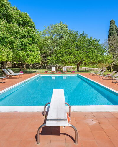 Medieval Castle Living: Vineyards, Swimming Pool &: Strauch, Garten, Schwimmbad, Estate, Hazienda, Schatten, Landscaping, Rasen, Villa, Resort