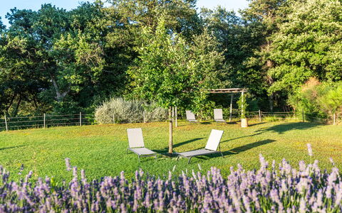 Cignella Resort: Gras, Strauch, Garten, Rasen, Frühling, Ground, Wiese, Park, Schatten