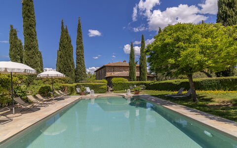 Podere Peteglia: Strauch, Garten, Schwimmbad, Hecke, Landscaping, Estate, Hazienda, Eco Hotel, Villa, Hof