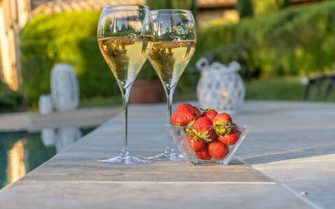 Podere Peteglia: Kelche, Geschirr, Drinkware, Weinglas, Barware, Wein, Champagner