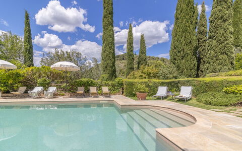 Podere Peteglia: Blau, Garten, Landscaping, Immergrün, Schwimmbad, Lärche, Pine Familie
