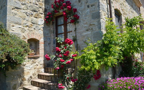 Lia Holiday Home, Private Pool and View, Val D'Orc: Blume, Wand, Grün, Strauch, Blütenblatt, Rosa, Frühling, Steinwand, Garten