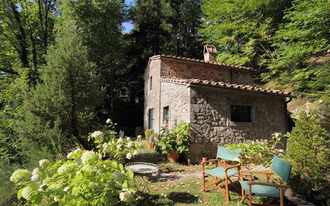 Il Gallinaio, Vivo D'Orcia: Strauch, Haus, Hütte, Zuhause, Frühling, Ground, Garten, Landscaping, Bauernhaus