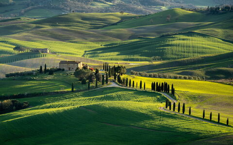 Il Gallinaio, Vivo D'Orcia: Gras, Natürliche Landschaft, Hügel, Wiese, Landschaft, Hochland, Feld, Einfach, Ländliches Gebiet, Wiese