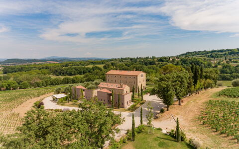 Poggio Mori 20: Landschaft, Strauch, Ländliches Gebiet, Grundstueck, Estate, Menschliche Siedlung, Plantage, Hazienda, Garten, Landscaping