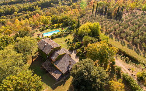 Artemisia: Haus, Estate, Ländliches Gebiet, Zuhause, Grundstueck, Hütte, Garten, Eco Hotel, Bauernhaus, Plantage
