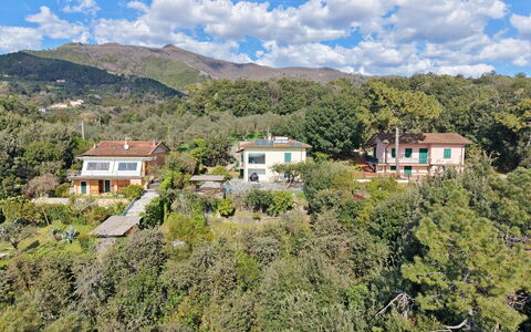 Villa Il Giardino: Vegetation, Ländliches Gebiet, Hügel, Landschaft, Wohngebiet, Haus, Hochland, Pflanzengemeinschaft, Zuhause, Bergstation