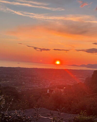 Villa Il Giardino: Himmel, Sonne, Afterglow, Daytime, Natur, Horizont, Sonnenuntergang, Orange, Dämmerung, Ast
