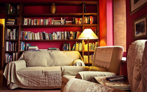 Selvamica: Möbel, Interior Design, Bücherregal, Flooring, Rot, Regale, Holz, Regal, Fussboden, Wohnzimmer