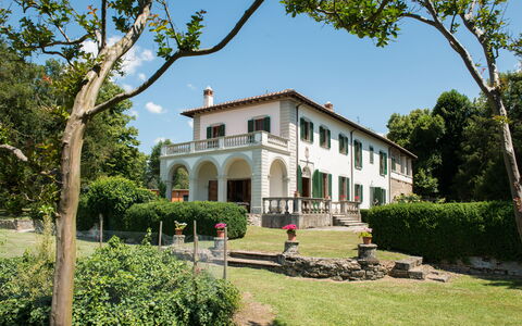 Martini: Strauch, Estate, Hazienda, Villa, Rasen, Bauernhaus, Garten, Villa, Garten, Landscaping