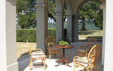 Martini: Möbel, Gartenmöbel, Stuhl, Säule, Schatten, Garten, Blumentopf, Tisch Im Freien, Veranda