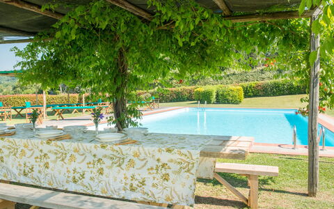 Martini: Schatten, Garten, Schwimmbad, Eco Hotel, Hazienda, Gartenmöbel, Resort, Hinterhof, Plantage, Outdoor Struktur