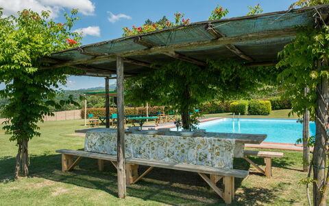 Martini: Schatten, Garten, Outdoor Struktur, Pergola, Schwimmbad, Landscaping, Hinterhof, Eco Hotel, Garten, Resort