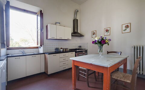Martini: Flooring, Küche, Interior Design, Küchengerät, Möbel, Countertop, Cabinetry, Zuhause, Fussboden, Major Appliance