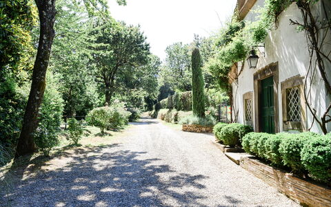 Fattoria: Strauch, Garten, Auffahrt, Landscaping, Schatten, Walkway, Botanischer Garten, Hecke, Plantage, Weg