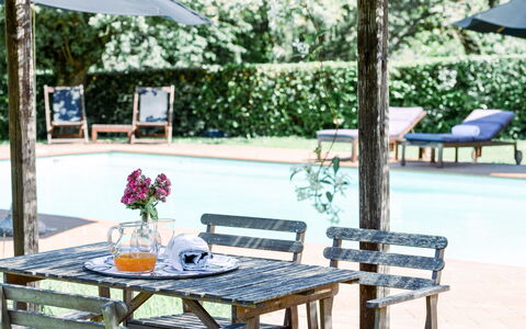 Fattoria: Möbel, Gartenmöbel, Tisch Im Freien, Stuhl, Schatten, Garten, Blumentopf, Freizeit, Hinterhof, Außenbank