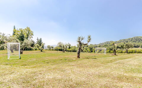 Chateau la Siroque: Baum, Gras, Wiese, Grundstueck, Einfach, Wiese, Frühling, Rasen, Weide