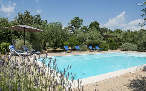 Villa El Olivar: Schwimmbad, Garten, Estate, Landscaping, Gartenmöbel, Hazienda, Resort, Villa, Hinterhof, Bauernhaus