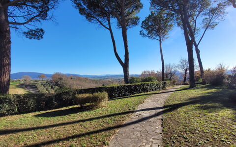 Villa El Olivar: Himmel, Blau, Blatt, Baum, Grün, Natürlichen Umgebung, Natur, Ast, Vegetation, Natürliche Landschaft
