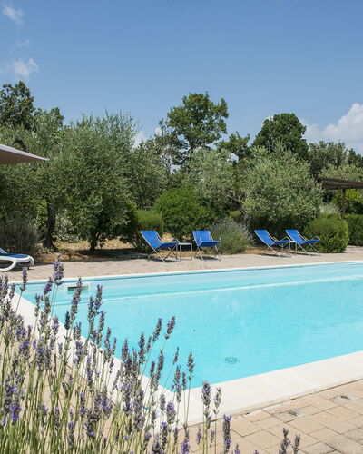 Villa El Olivar: Schwimmbad, Garten, Estate, Landscaping, Gartenmöbel, Hazienda, Resort, Villa, Hinterhof, Bauernhaus