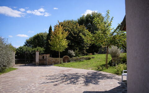 Villa Montepulciano Vineyard: Strauch, Garten, Flagstone, Schatten, Auffahrt, Landscaping, Walkway, Hinterhof, Garten