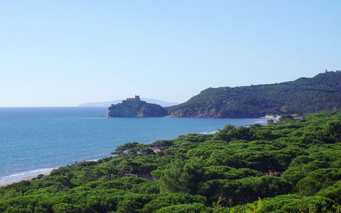 Oleandro