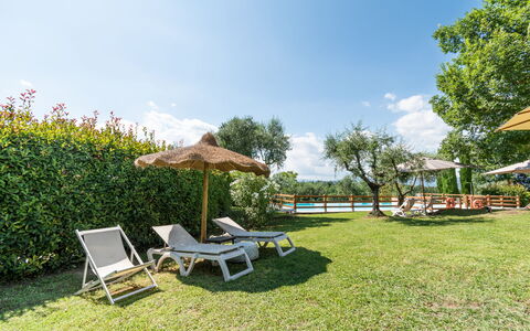 Agriturismo le Due Querce: Schwimmbad, Gartenmöbel, Resort, Garten, Sonnenliege, Eco Hotel, Rasen, Schatten, Estate, Freizeit