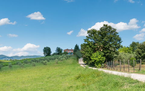Agriturismo le Due Querce: Himmel, Gras, Grün, Natürlichen Umgebung, Natur, Natürliche Landschaft, Wiese, Einfach, Landschaft
