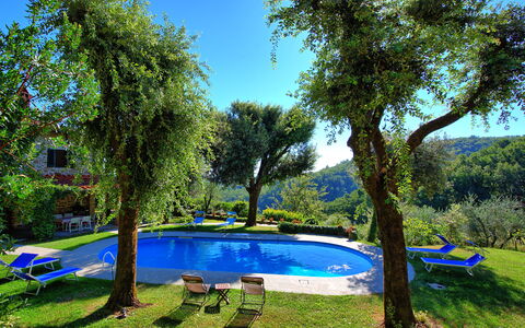 Villa Ulivacci: Blau, Schwimmbad, Garten, Schatten, Gartenmöbel, Hazienda, Eco Hotel, Landscaping, Hinterhof, Rasen