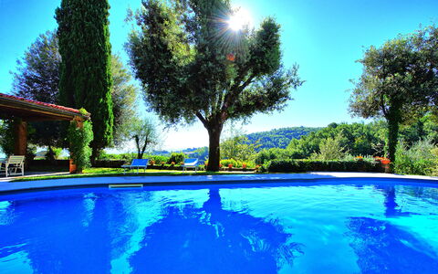 Villa Ulivacci: Blau, Schwimmbad, Garten, Landscaping, Freizeit, Eco Hotel, Resort, Schatten, Hazienda, Hinterhof