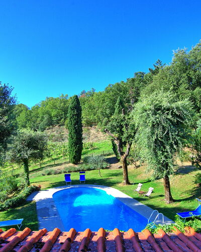 Villa Ulivacci: Blau, Garten, Schwimmbad, Rasen, Schatten, Hinterhof, Landscaping, Park, Garten, Gartenmöbel