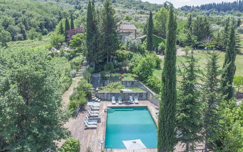 Villa Grevigiana: Baum, Vegetation, Strauch, Landschaft, Pflanzengemeinschaft, Garten, Landscaping, Schwimmbad, Immergrün