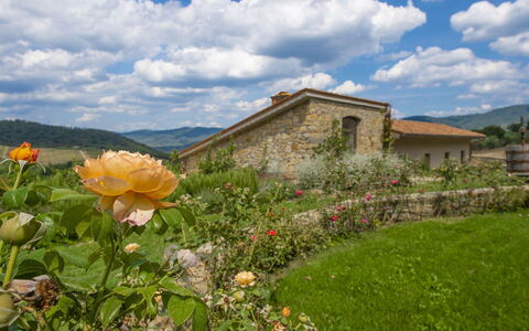 Villa del Fattore: Hügel, Landschaft, Wolke, Strauch, Ländliches Gebiet, Hütte, Bauernhaus, Garten, Wiese