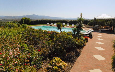 Villa Michelangelo: Garten, Schwimmbad, Hazienda, Eco Hotel, Landscaping, Resort, Garten, Plantage, Bauernhaus, Villa