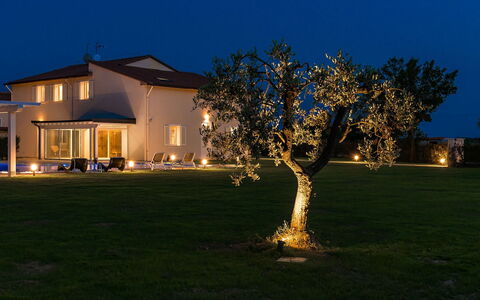 Villa Monsummano: Blau, Zuhause, Garten, Rasen, Dämmerung, Abend, Garten, Estate, Nacht, Hinterhof