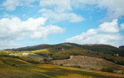 Villa Torre del Chianti: Bergforms, Hügel, Natürliche Landschaft, Berg, Hochland, Landschaft, Wiese, Ökoregion, Ländliches Gebiet, Feld