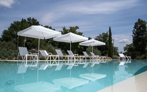 Villa Ripa: Schwimmbad, Gartenmöbel, Möbel, Resort, Sonnenliege, Stuhl, Eco Hotel, Schatten, Regenschirm, Ferienort