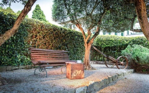 Loft Borgo Syrah: Strauch, Garten, Außenbank, Frühling, Schatten, Gartenmöbel, Landscaping, Bank, Hecke, Schatten
