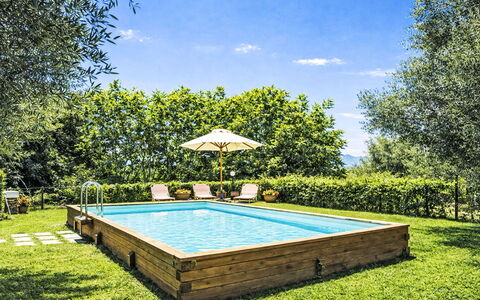 Cotoneaster: Schwimmbad, Holz, Garten, Freizeit, Gartenmöbel, Schatten, Hinterhof, Eco Hotel, Resort, Rasen