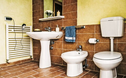 Cotoneaster: Toilleten Sitz, Toilette, Badezimmer, Armatur, Flooring, Sinken, Fussboden, Installation, Zapfhahn, Bidet